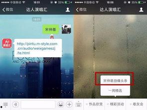 最新爆料娱乐头条,神秘事件引发热议,真相即将揭晓!